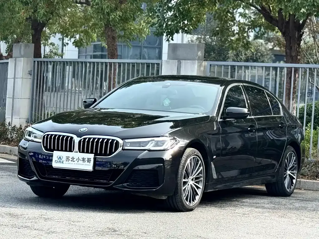 BMW 5 Series 2024 из CN, фото 2
