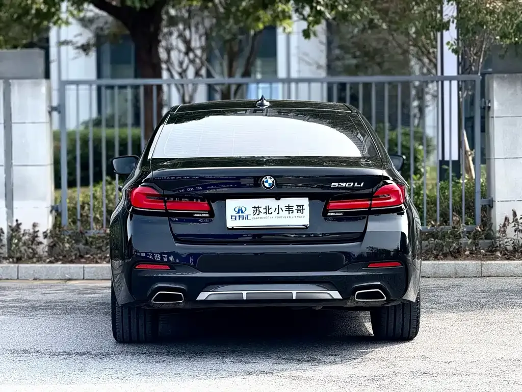 BMW 5 Series 2024 из CN, фото 3