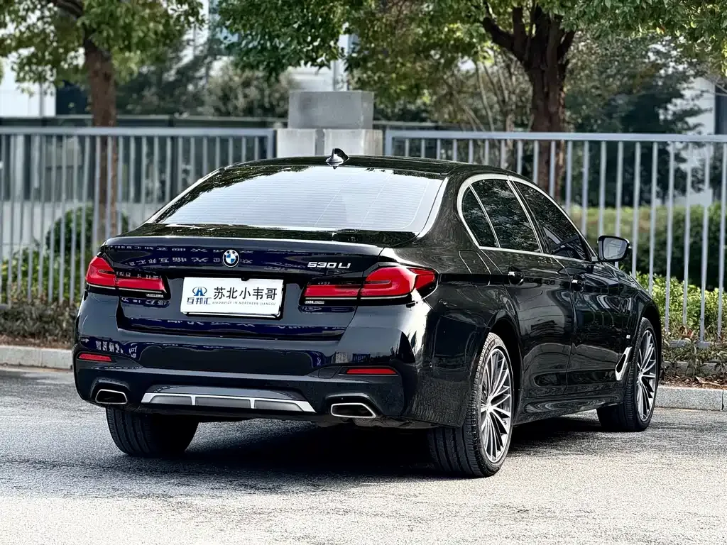 BMW 5 Series 2024 из CN, фото 4