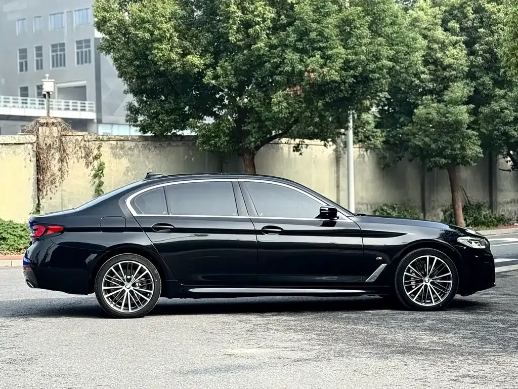 BMW 5 Series 2024 из CN, фото 5