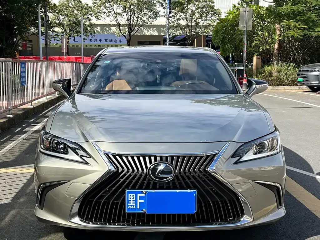 Lexus ES 2021 из CN, фото 3