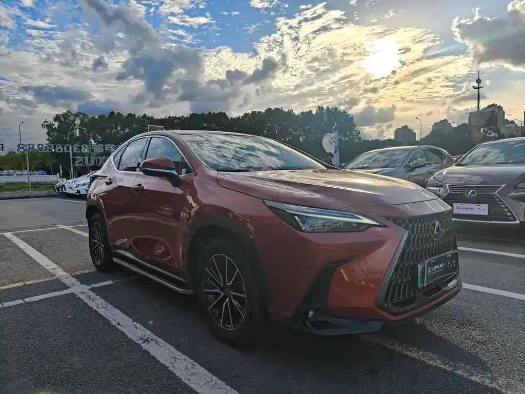 Lexus NX New Energy 2021 из CN, фото 2