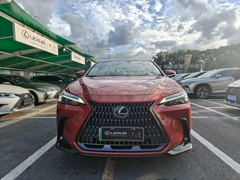 Lexus NX New Energy 2021 из CN, фото 3