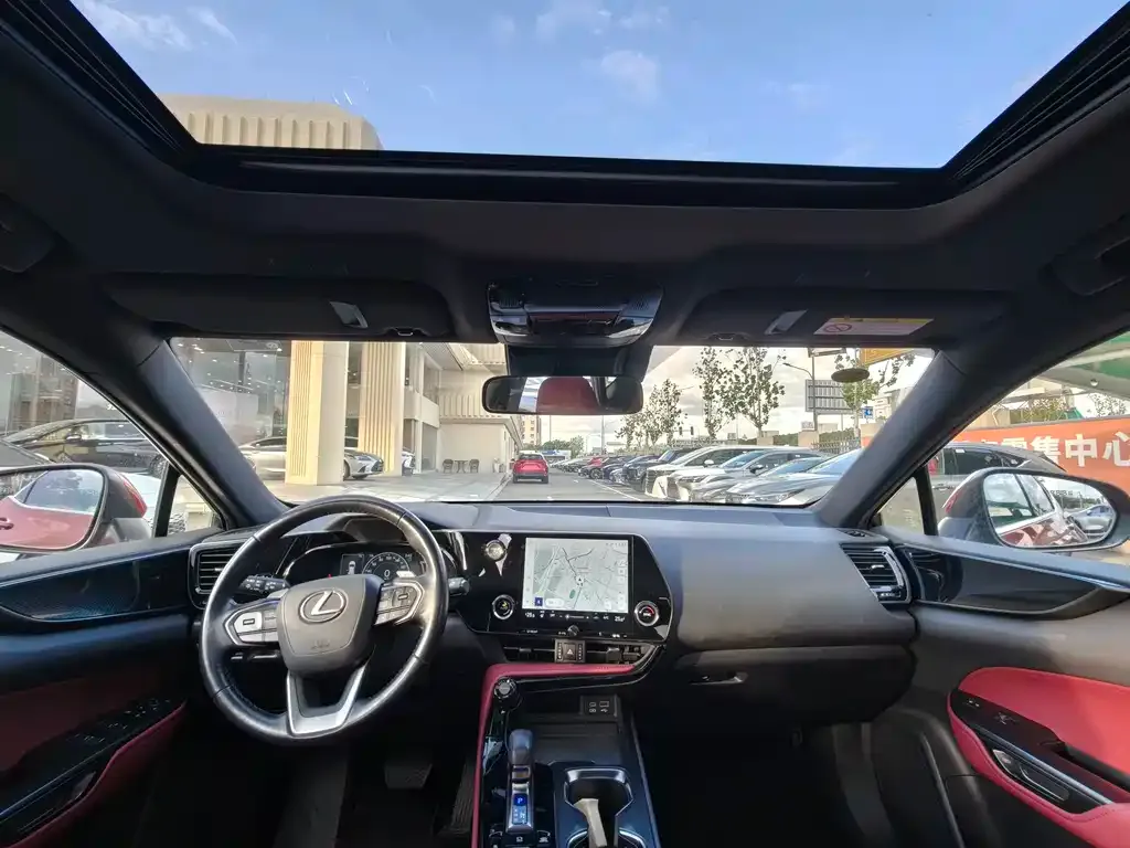 Lexus NX New Energy 2021 из CN, фото 4