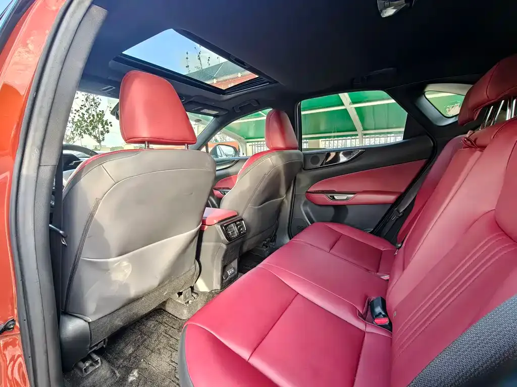 Lexus NX New Energy 2021 из CN, фото 6