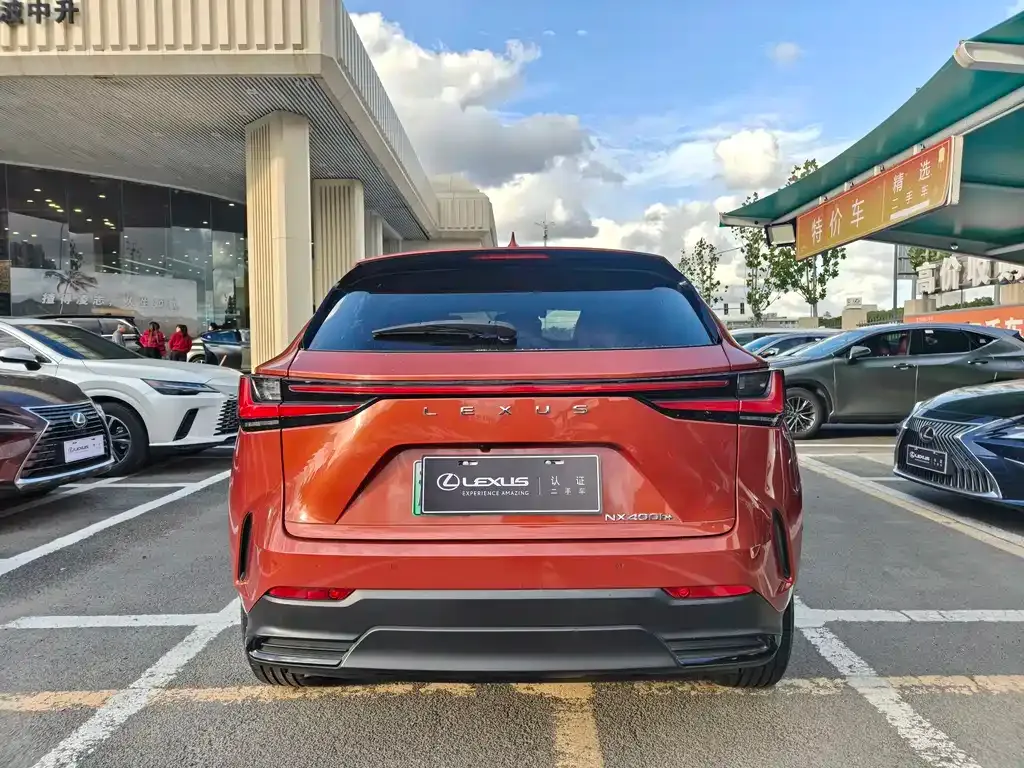 Lexus NX New Energy 2021 из CN, фото 7