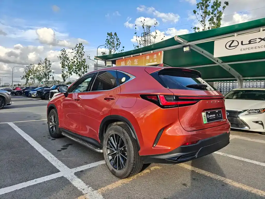 Lexus NX New Energy 2021 из CN, фото 8
