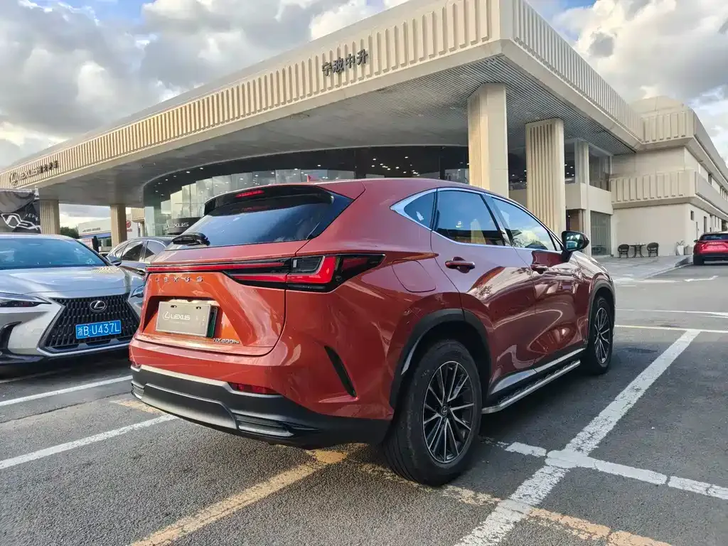 Lexus NX New Energy 2021 из CN, фото 9