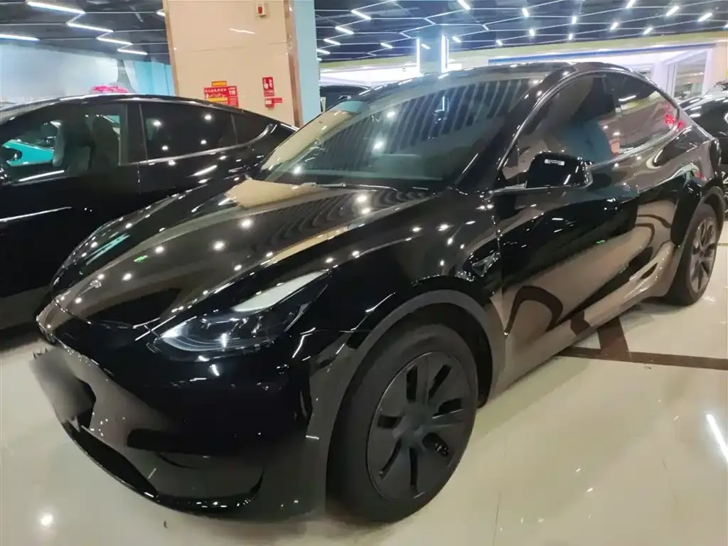 Tesla Model Y 2023 из CN, фото 1