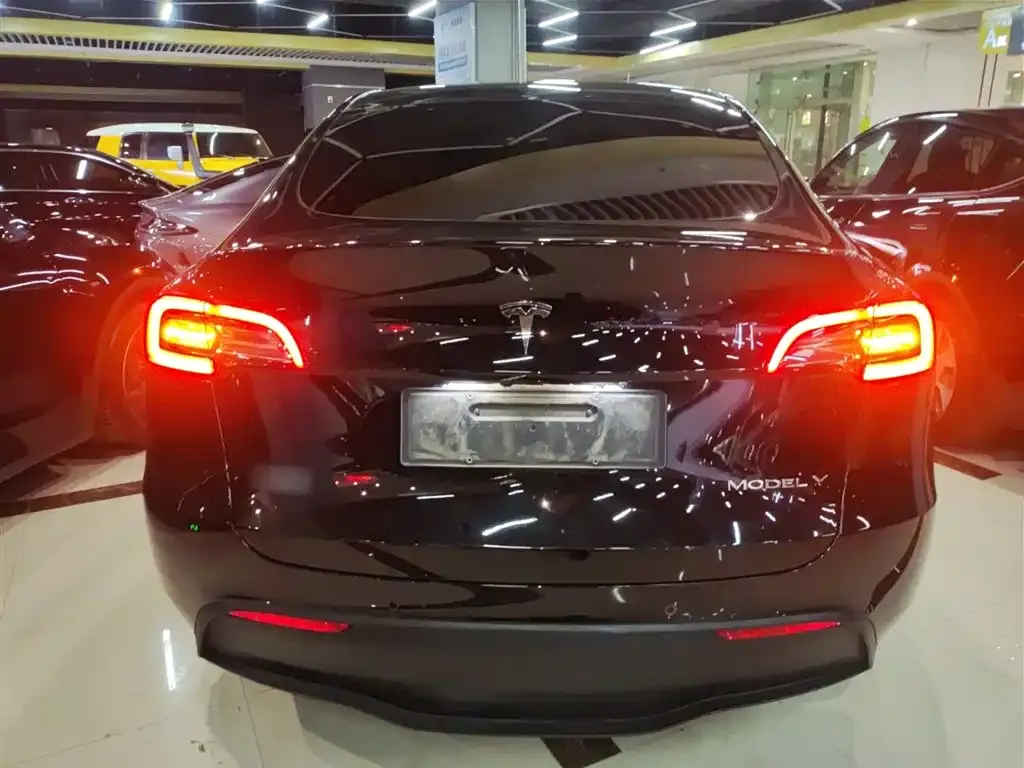 Tesla Model Y 2023 из CN, фото 6