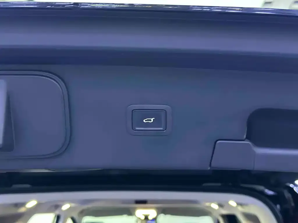 Hongqi HQ9 PHEV 2024 из CN, фото 10