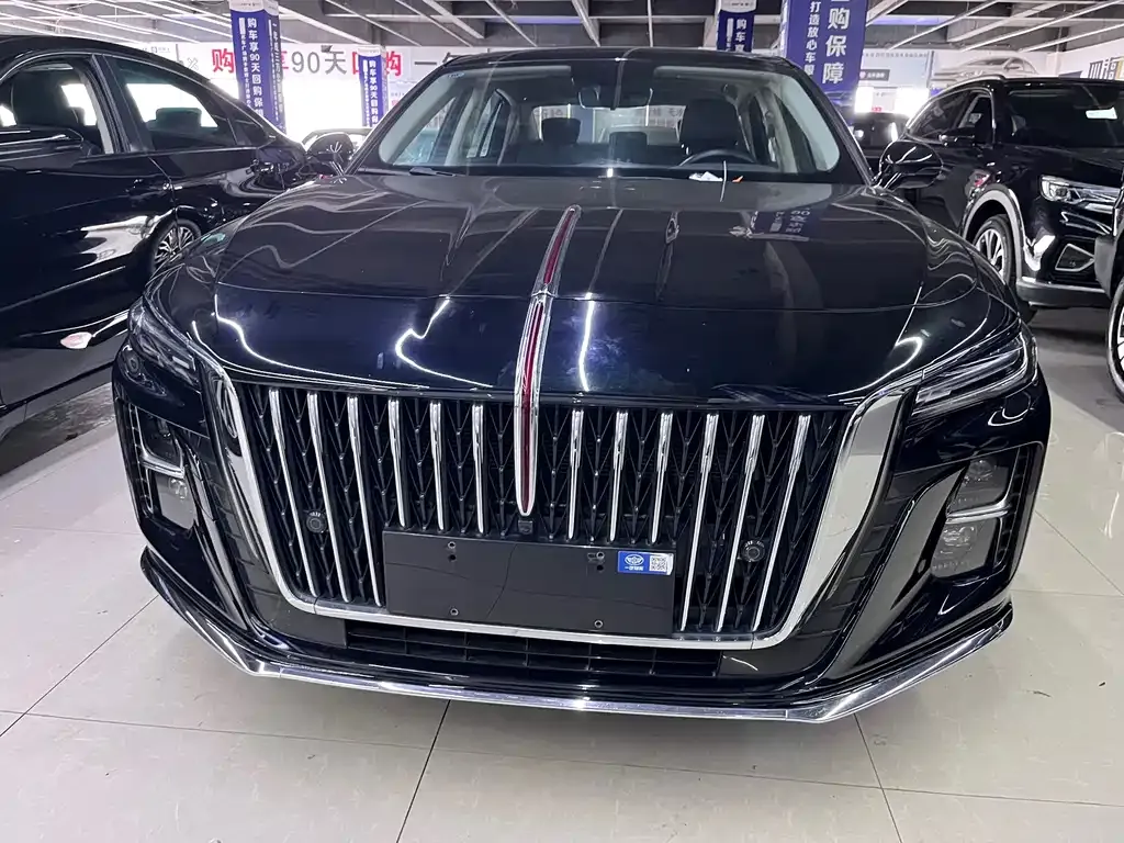 Hongqi H5 2023 из CN, фото 2