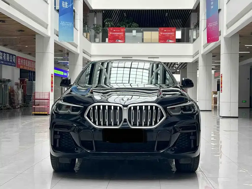BMW X6 2021 из CN, фото 2