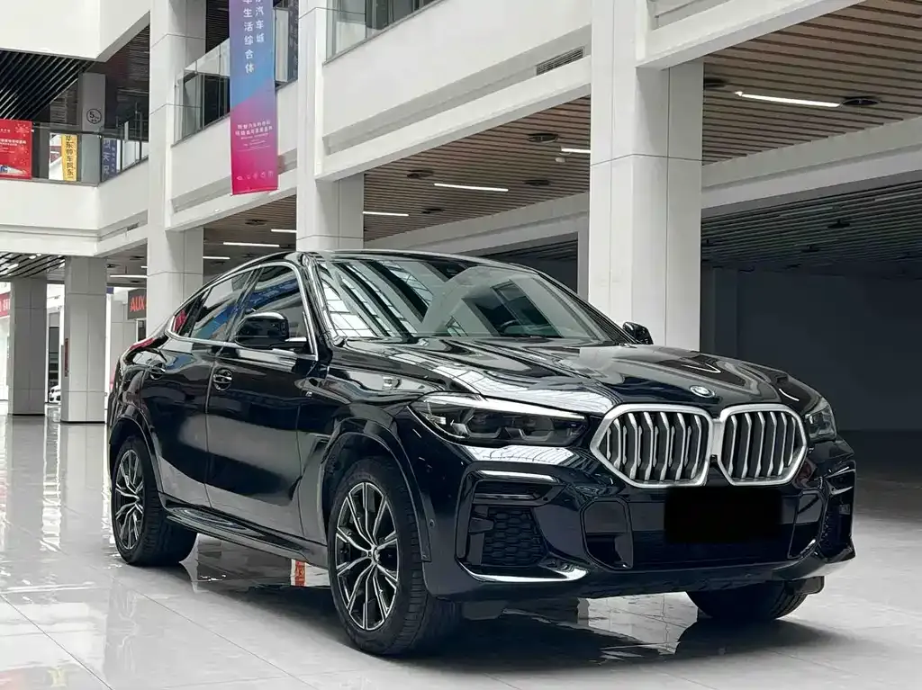 BMW X6 2021 из CN, фото 3