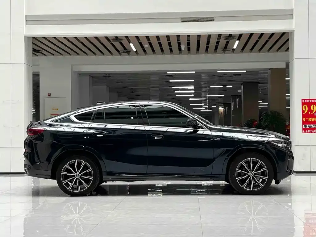 BMW X6 2021 из CN, фото 4