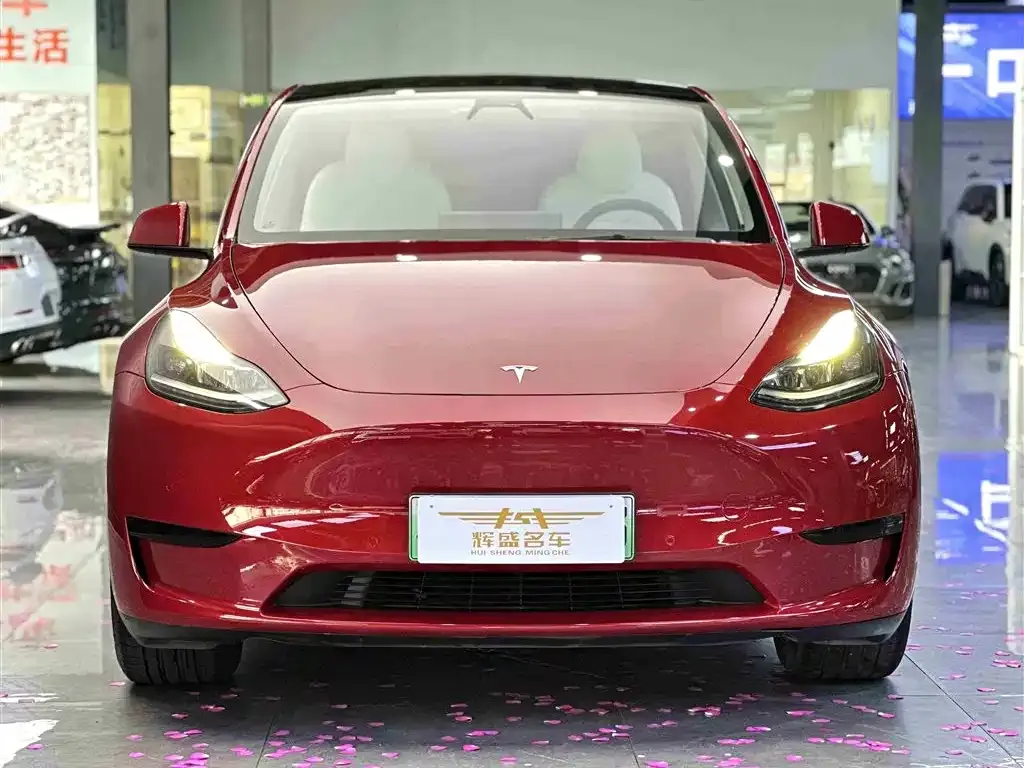 Tesla Model Y 2023 из CN, фото 2