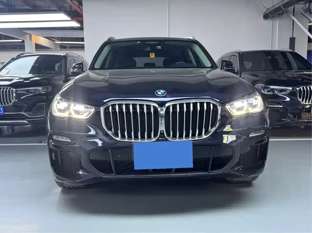 BMW X5 (Import) 2021 из CN, фото 2