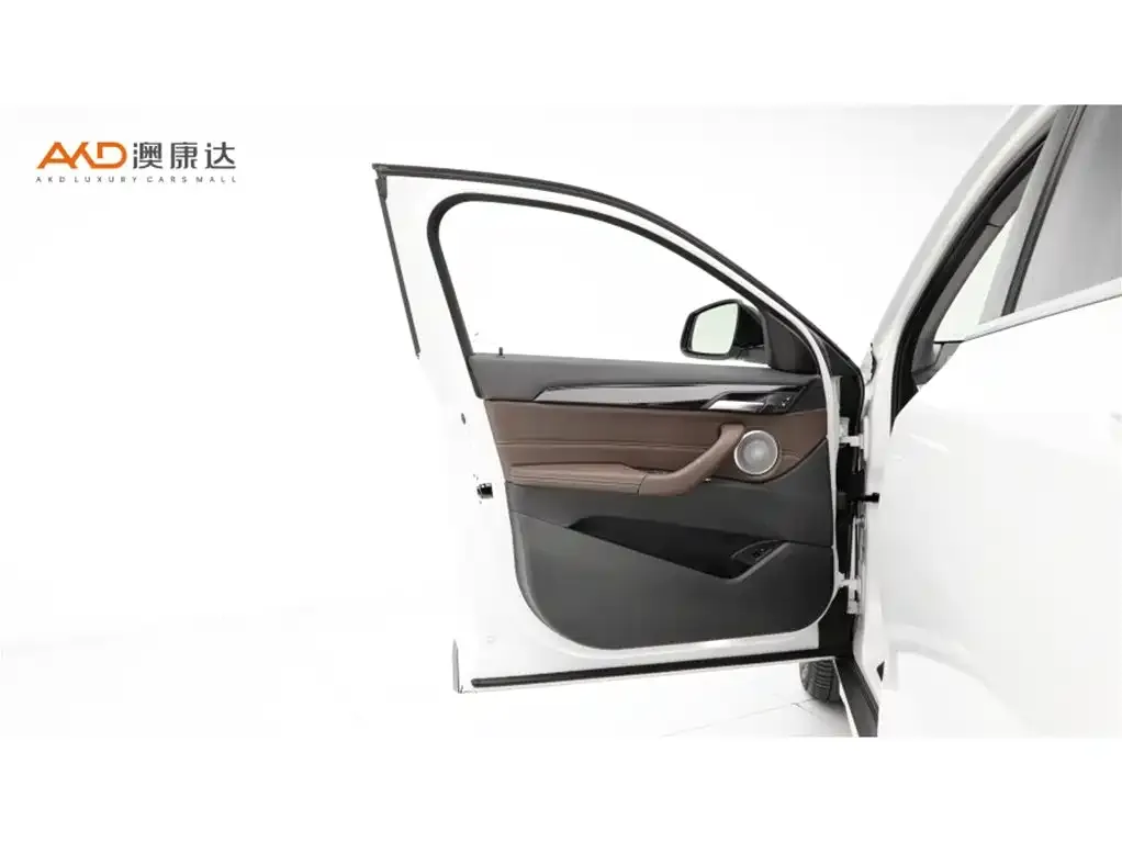 BMW X2 2023 из CN, фото 10