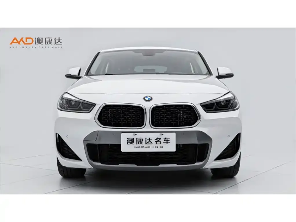 BMW X2 2023 из CN, фото 2