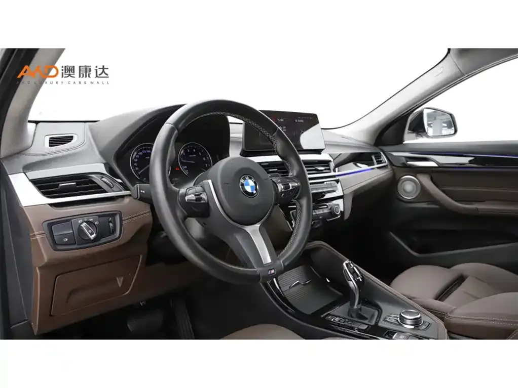 BMW X2 2023 из CN, фото 6