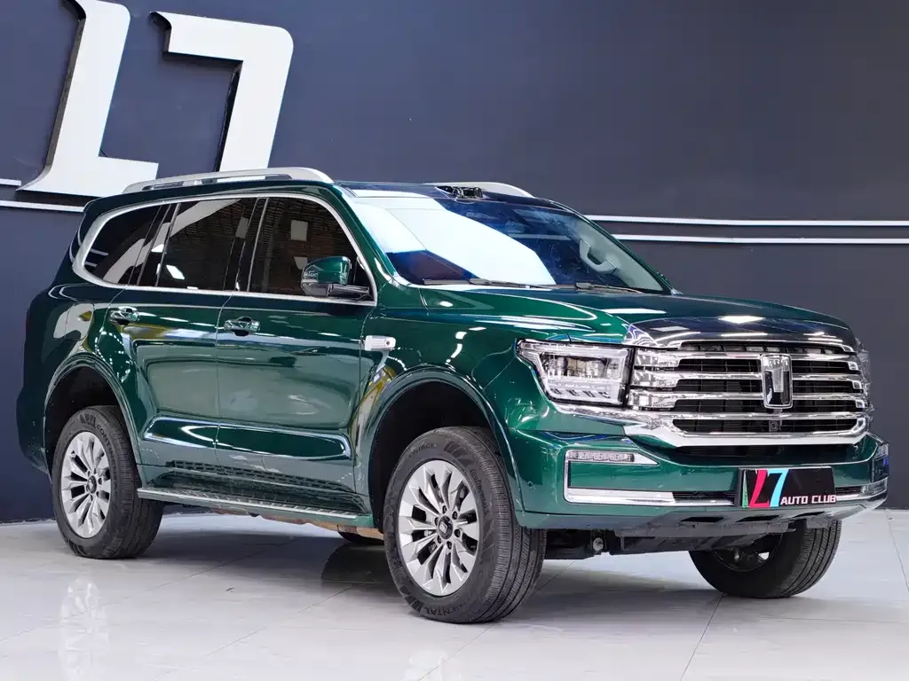 Tank 500 New Energy 2025 из CN, фото 5