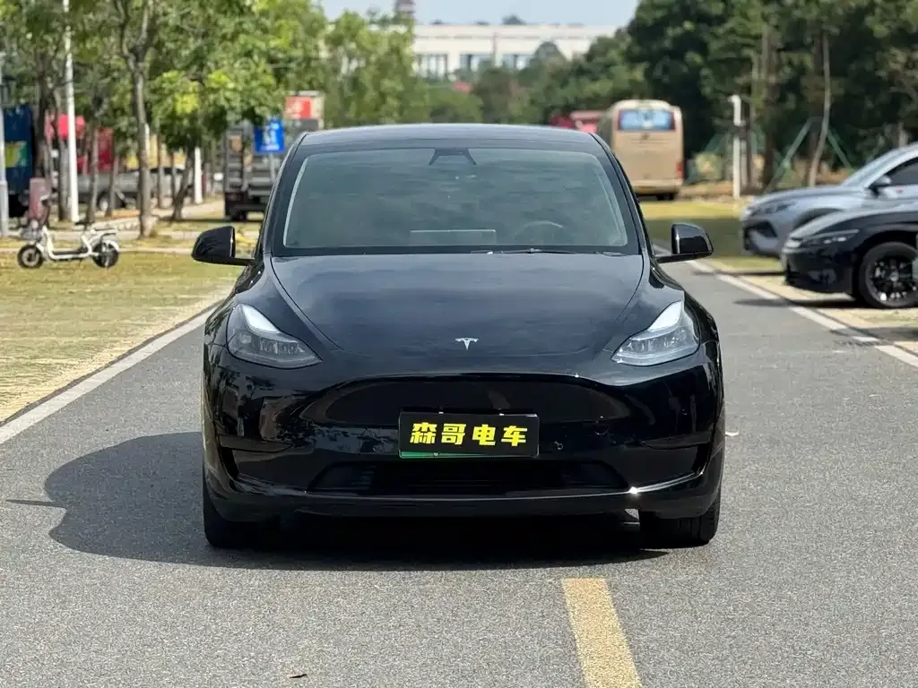 Tesla Model Y — фото 2