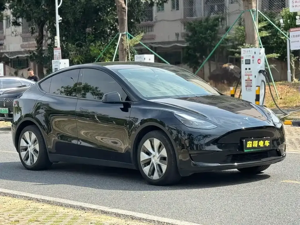 Tesla Model Y — фото 3