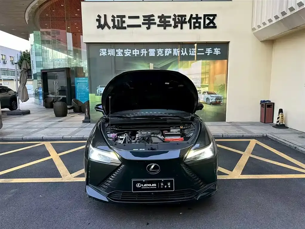 Lexus RZ 2023 из CN, фото 3