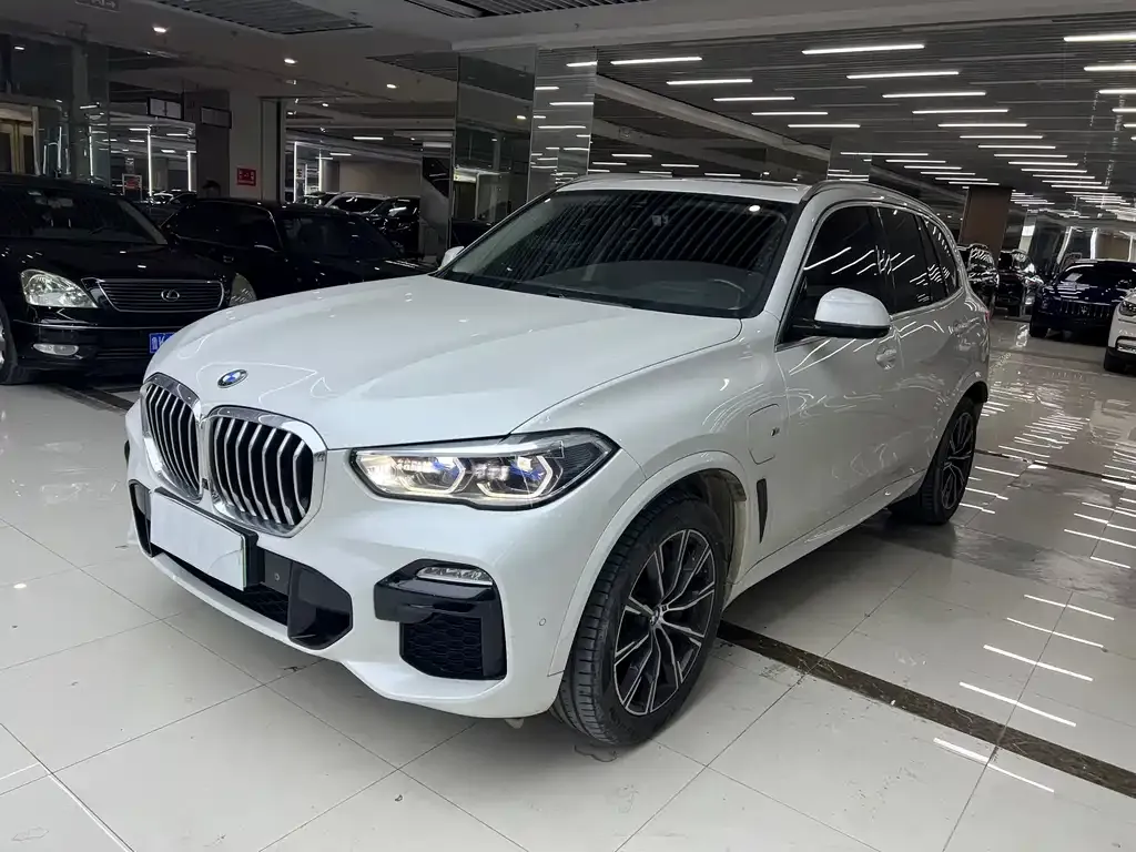 BMW X5 New Energy (Import) 2021 из CN, фото 1
