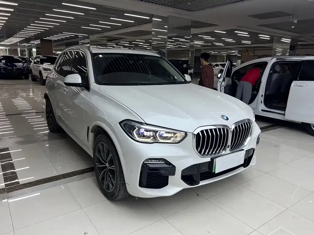 BMW X5 New Energy (Import) 2021 из CN, фото 3