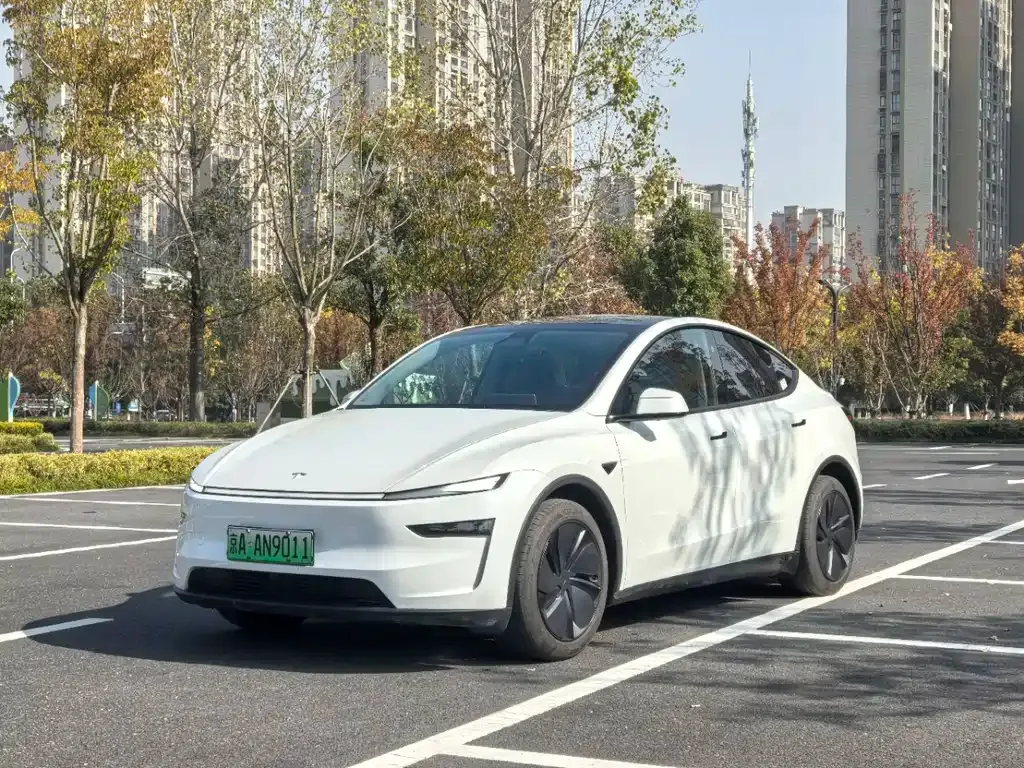 Tesla Model Y — фото 1