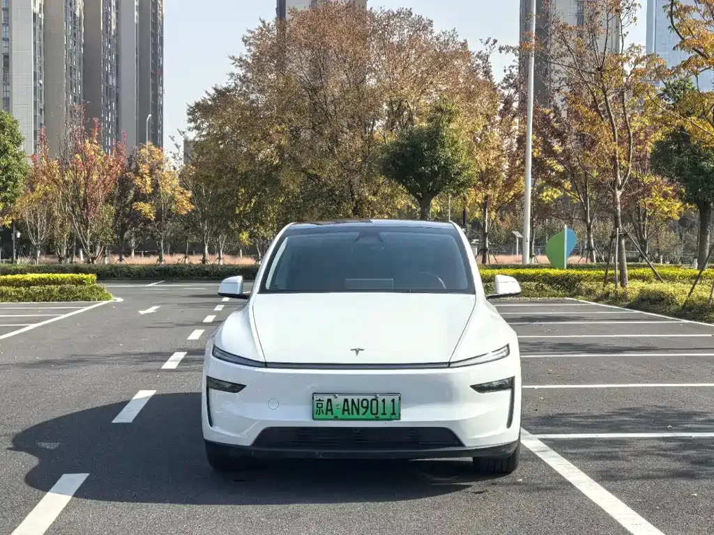 Tesla Model Y — фото 2