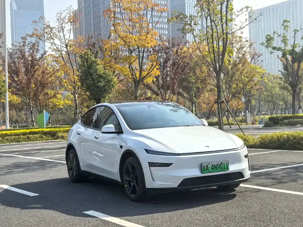 Tesla Model Y — фото 3