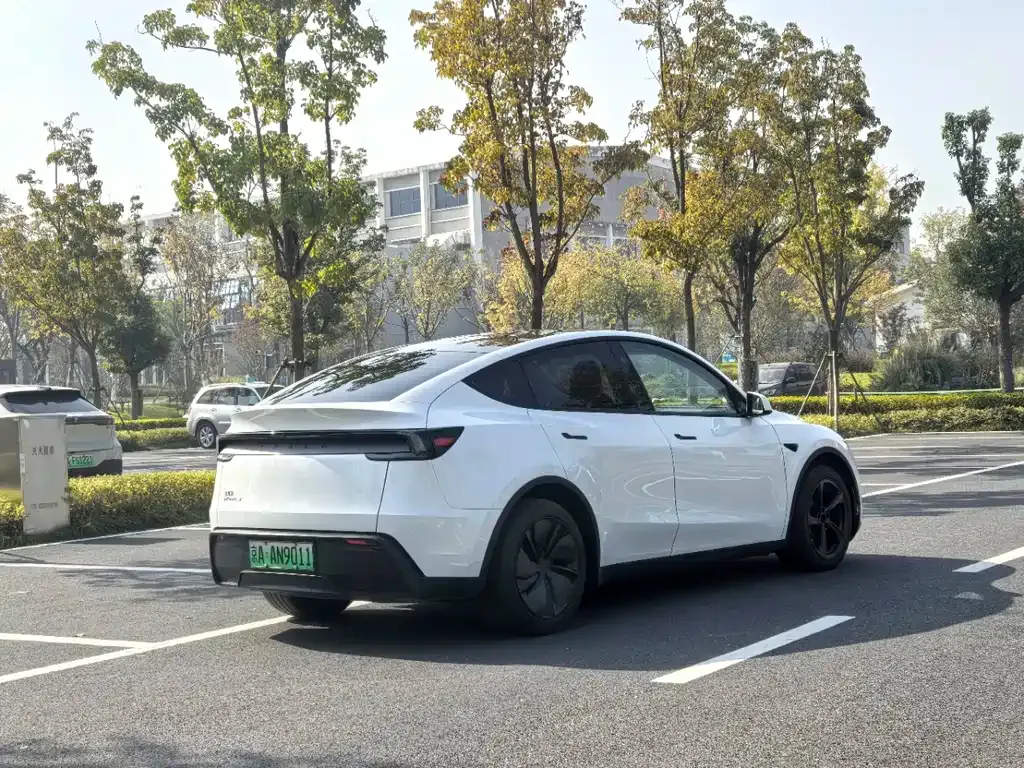 Tesla Model Y — фото 4
