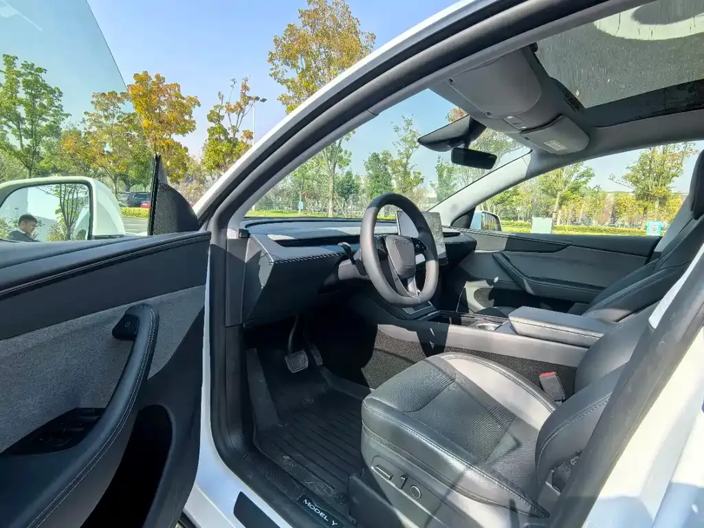 Tesla Model Y — фото 6