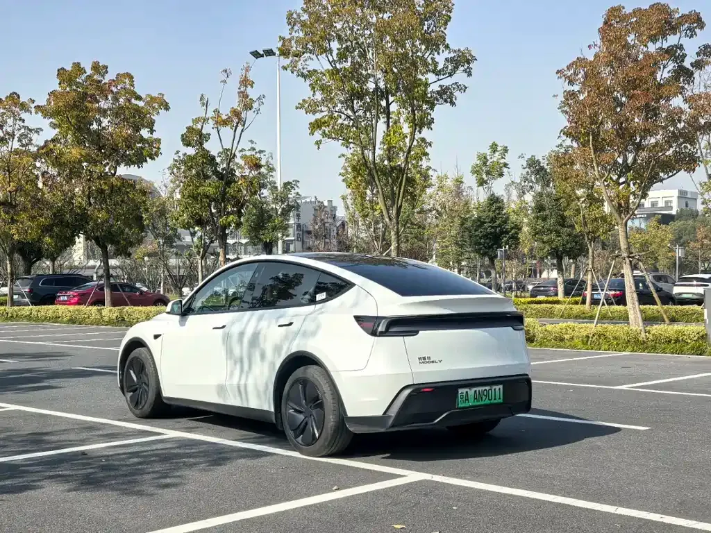 Tesla Model Y — фото 7