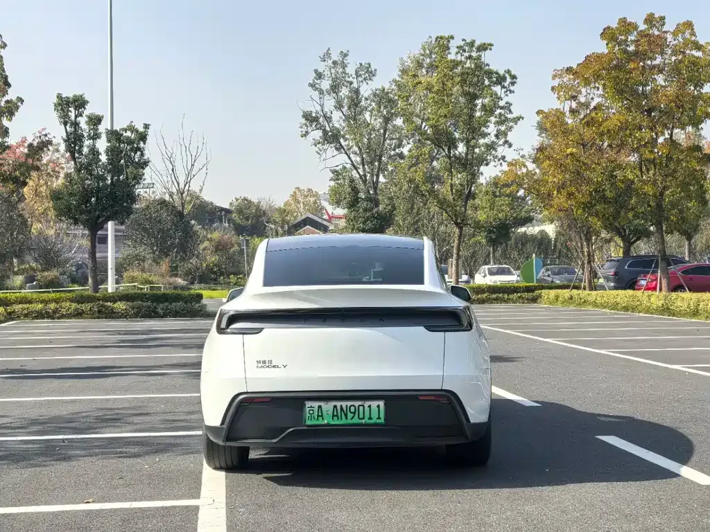 Tesla Model Y — фото 8