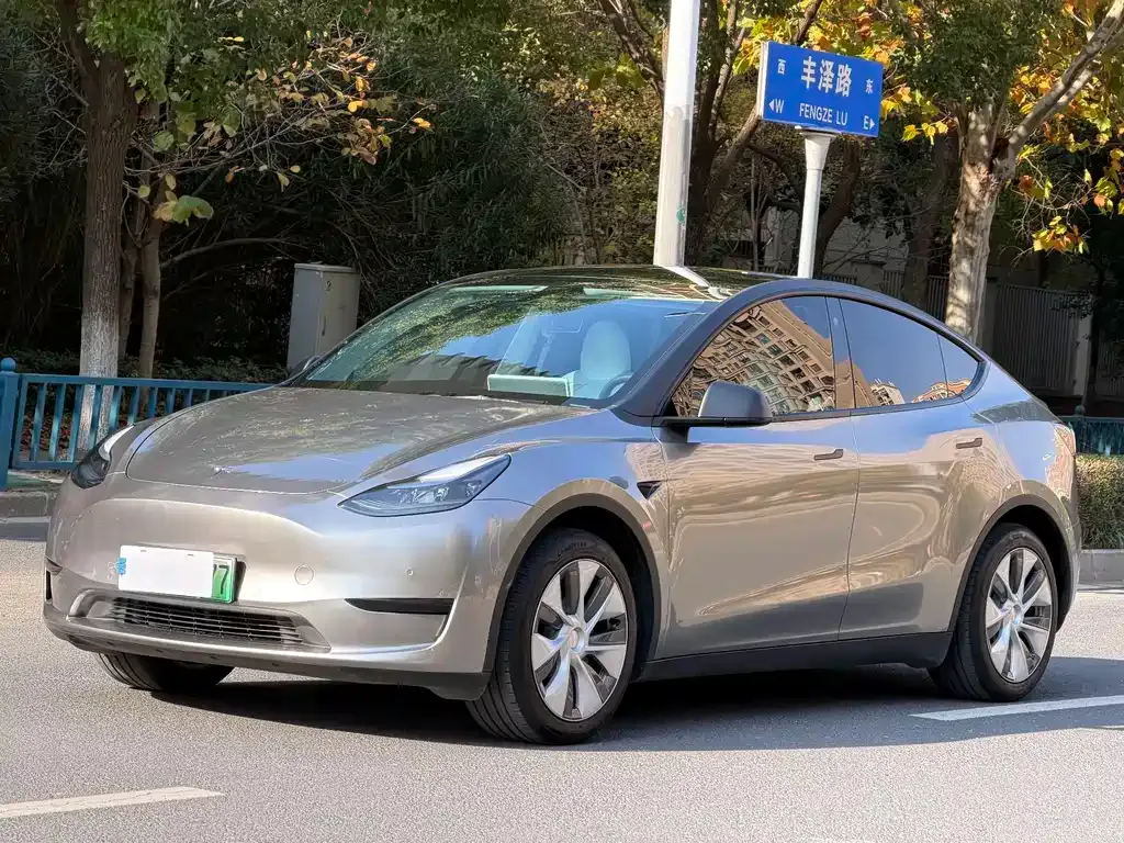 Tesla Model Y — фото 1