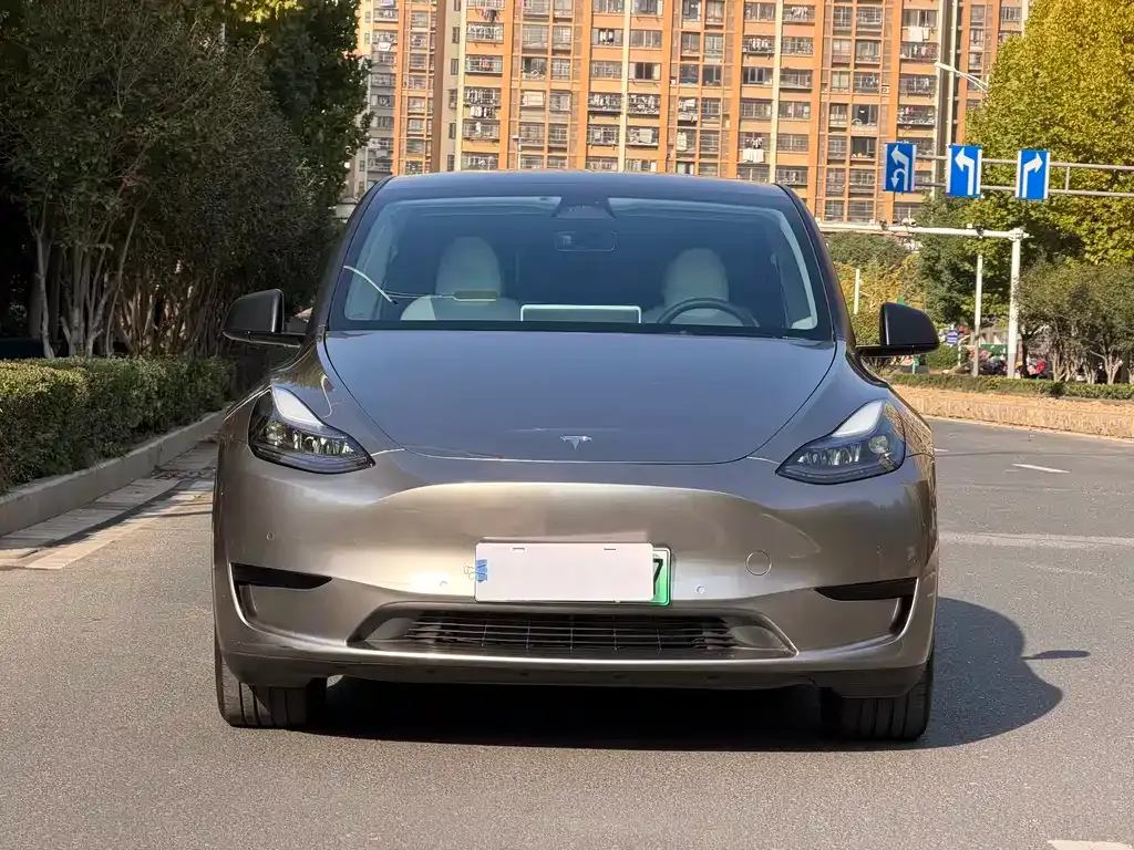Tesla Model Y — фото 2