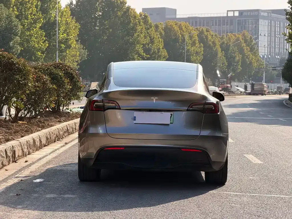 Tesla Model Y — фото 4
