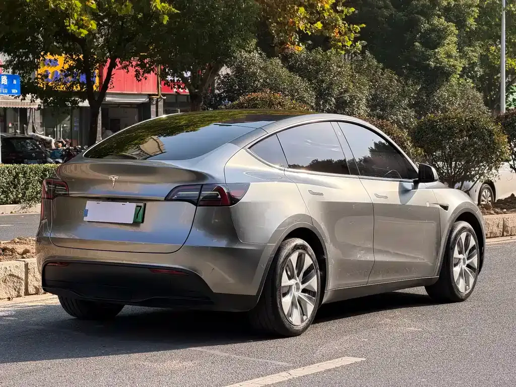 Tesla Model Y — фото 5