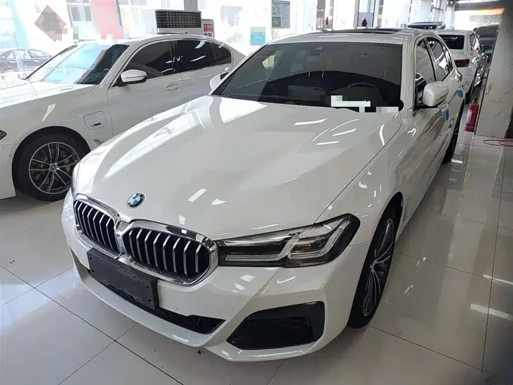 BMW 5 Series 2021 из CN, фото 2