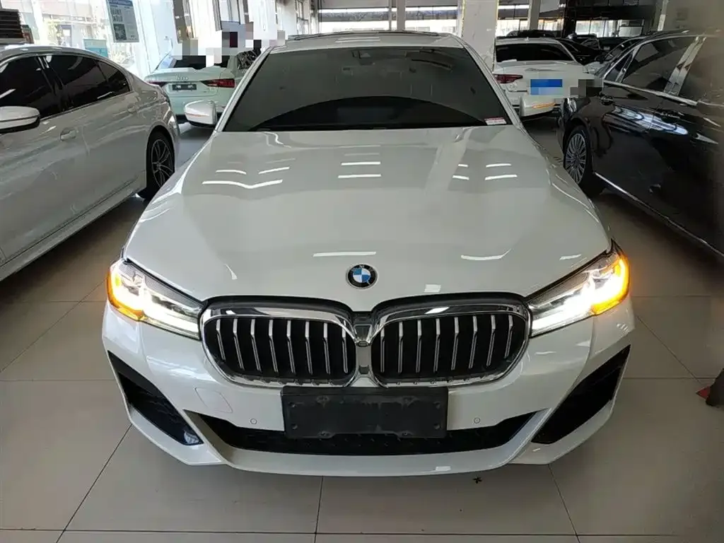BMW 5 Series 2021 из CN, фото 3
