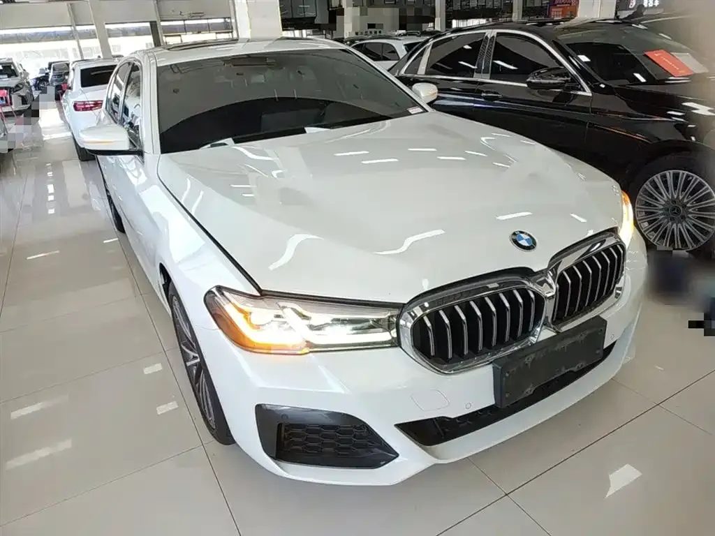 BMW 5 Series 2021 из CN, фото 4