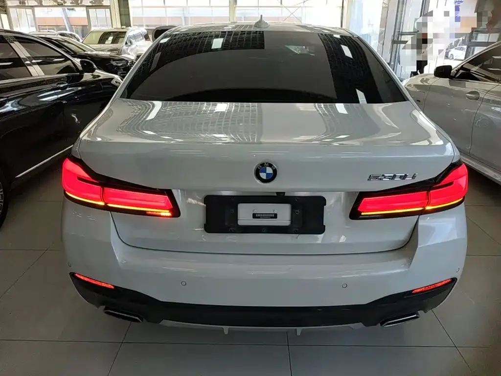 BMW 5 Series 2021 из CN, фото 6