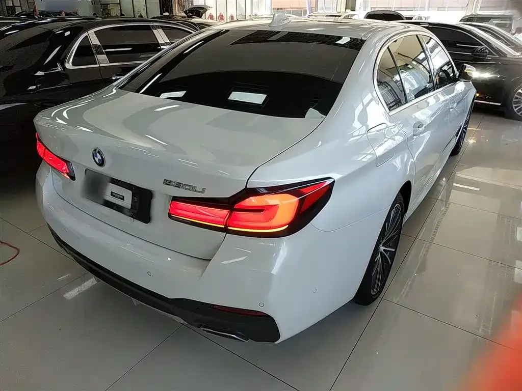 BMW 5 Series 2021 из CN, фото 7
