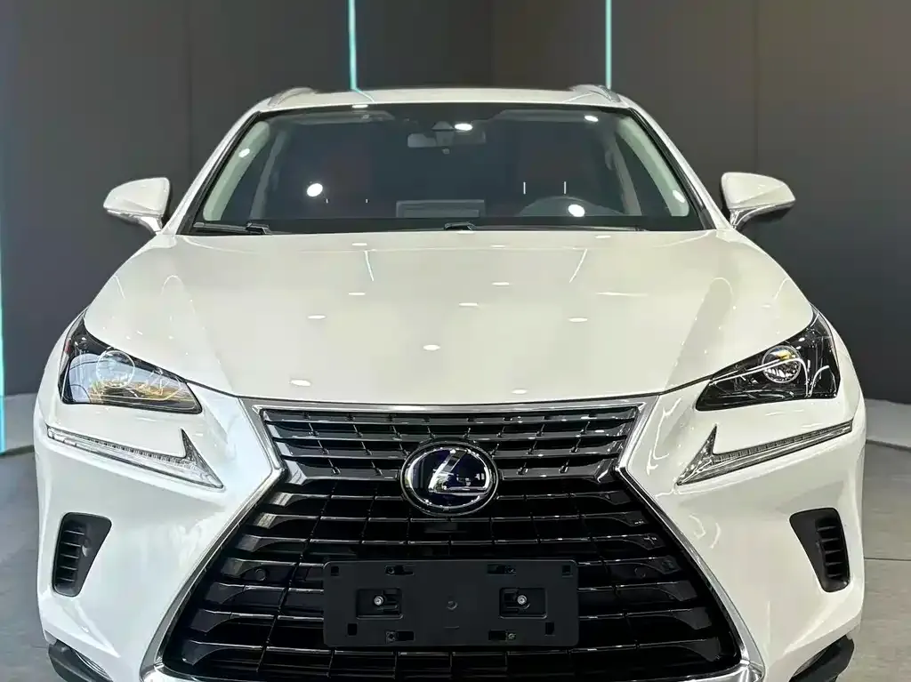 Lexus NX 2021 из CN, фото 2