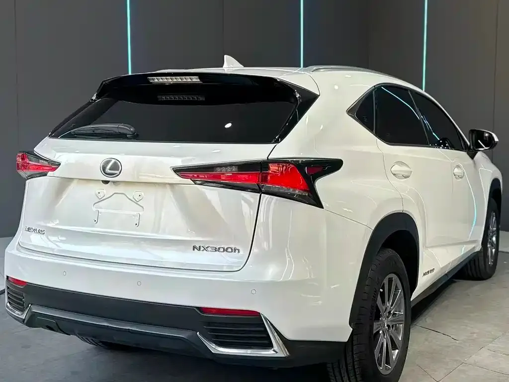 Lexus NX 2021 из CN, фото 6