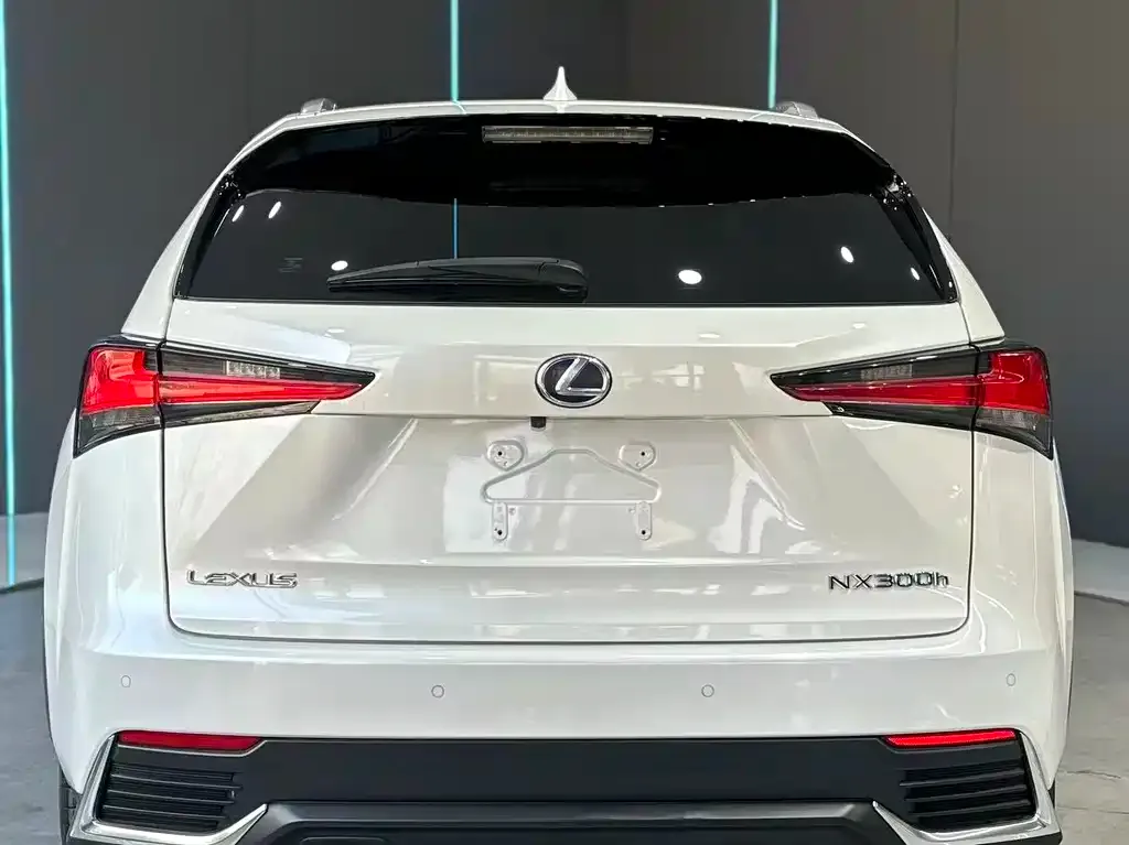 Lexus NX 2021 из CN, фото 7