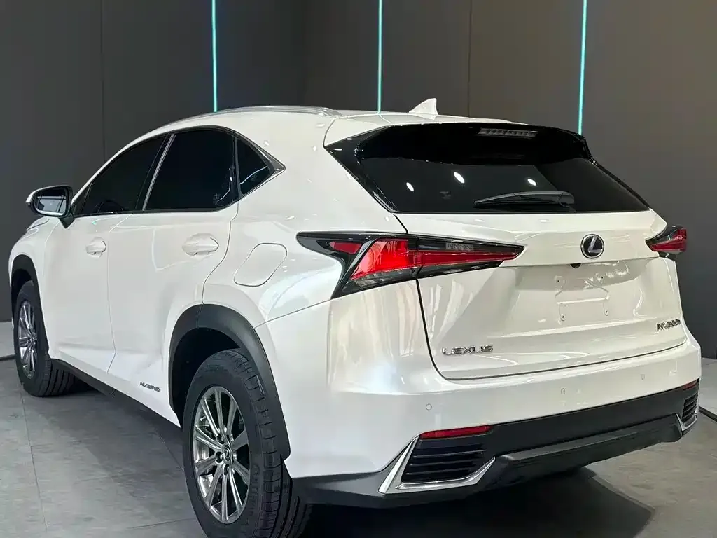Lexus NX 2021 из CN, фото 8